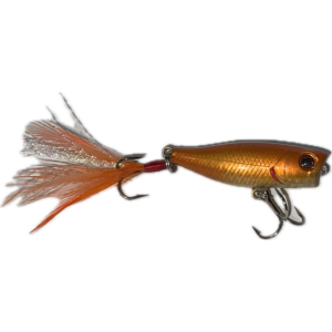 Topwater Pop’R 42 (goldfish)