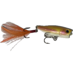 Topwater Pop’R 42 (L.trout)