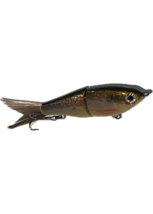 Golden Shiner