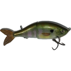 Gildah (bluegill) G