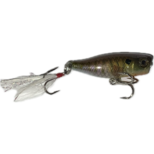 Topwater Pop’R 42 (bluegill)
