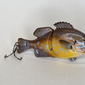 Juvi Shell cracker Gill