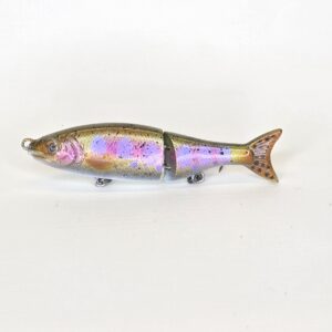 Juvenile Rainbow trout 3.0
