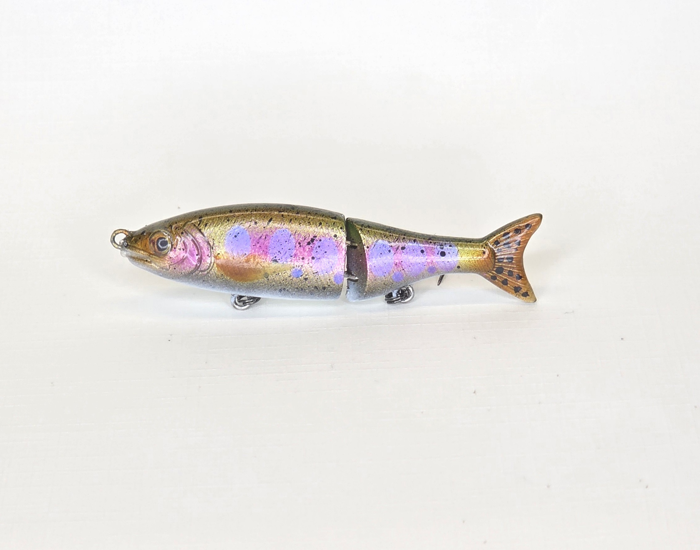 Juvenile Rainbow trout 3.0